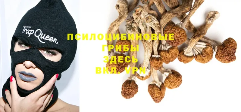 где продают   Игра  МЕГА вход  Псилоцибиновые грибы MAGIC MUSHROOMS 